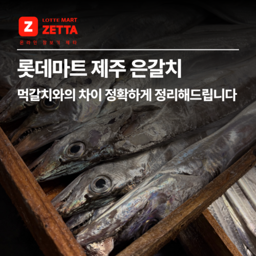 롯데마트-_결.png